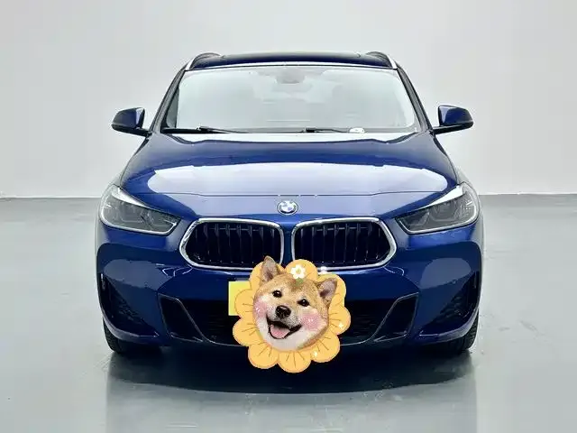 BMW X2 sDrive25 i M Sport Package