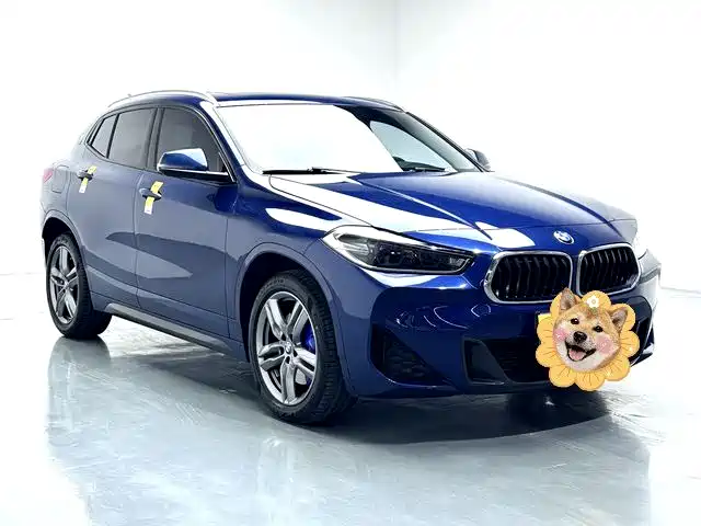 BMW X2 sDrive25 i M Sport Package