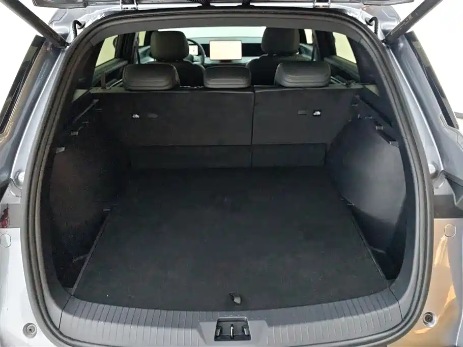 Song Pro NEV DM-i 133 KM Transcend