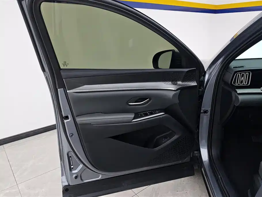 Song Pro NEV DM-i 133 KM Transcend
