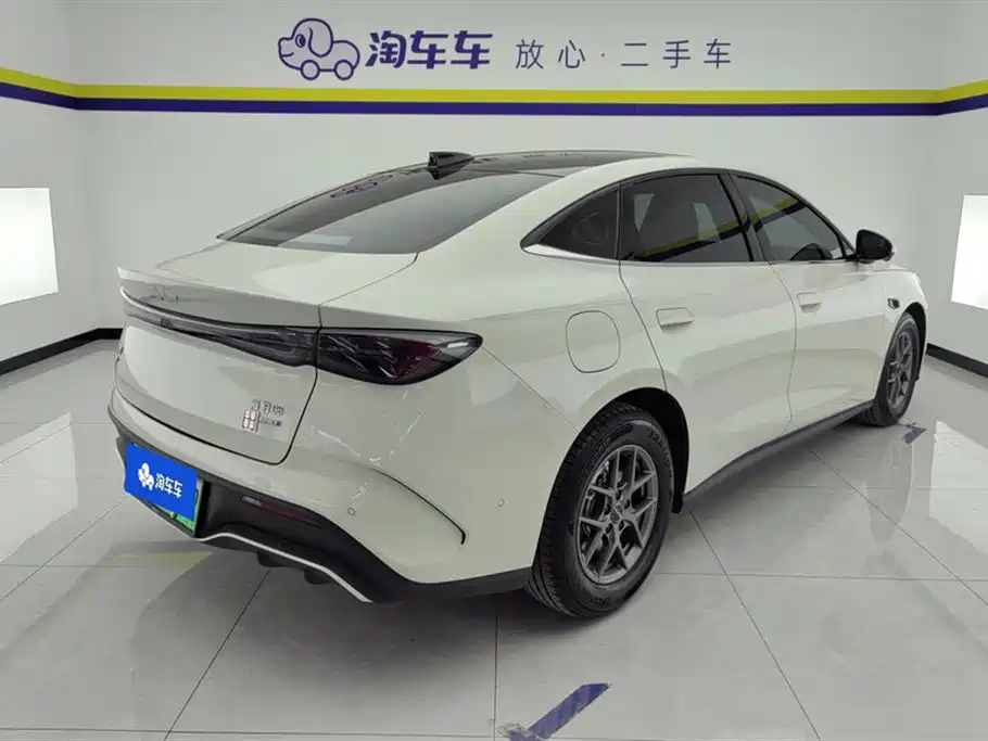 Seal 06 DM-i Smart Drive 80 KM Luxury