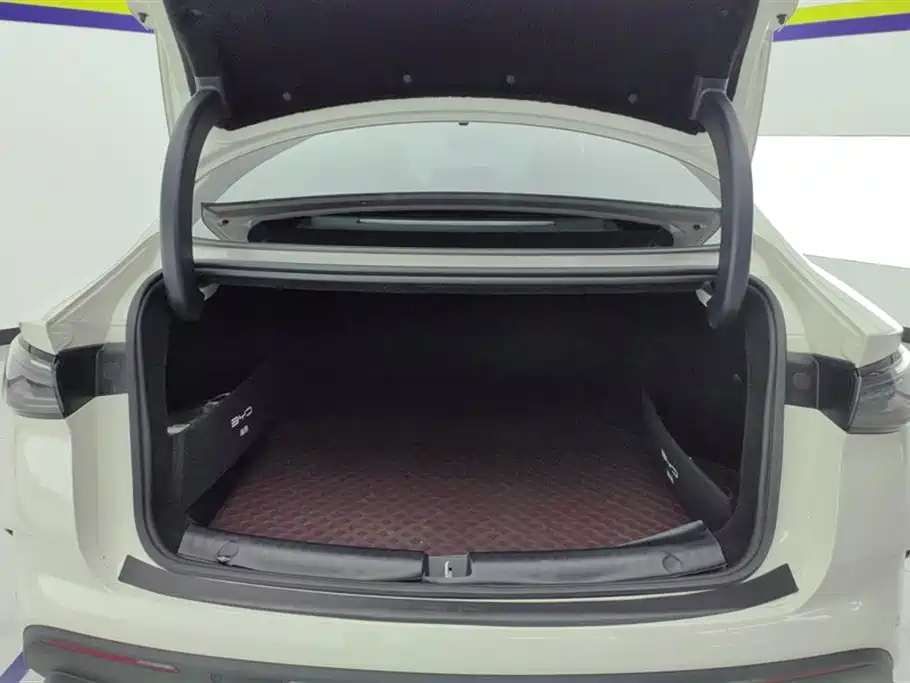 Seal 06 DM-i Smart Drive 80 KM Luxury