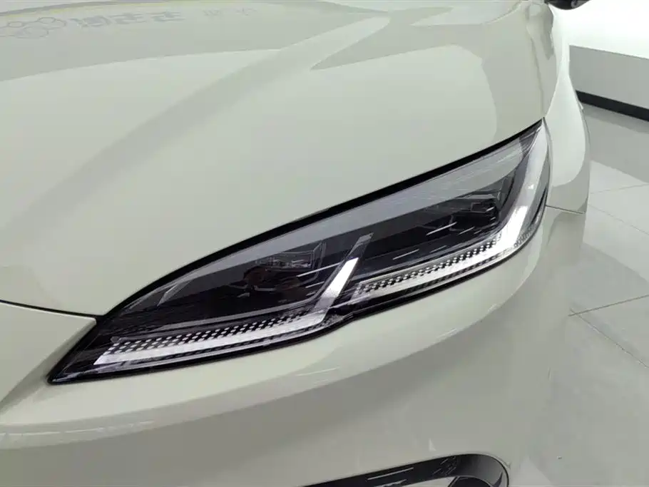 Seal 06 DM-i Smart Drive 80 KM Luxury
