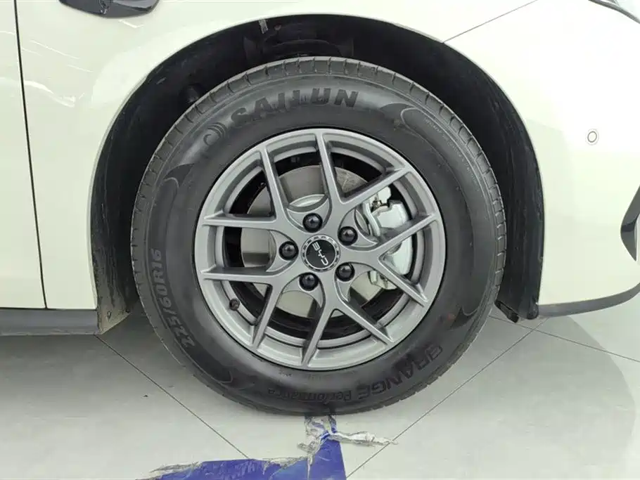Seal 06 DM-i Smart Drive 80 KM Luxury