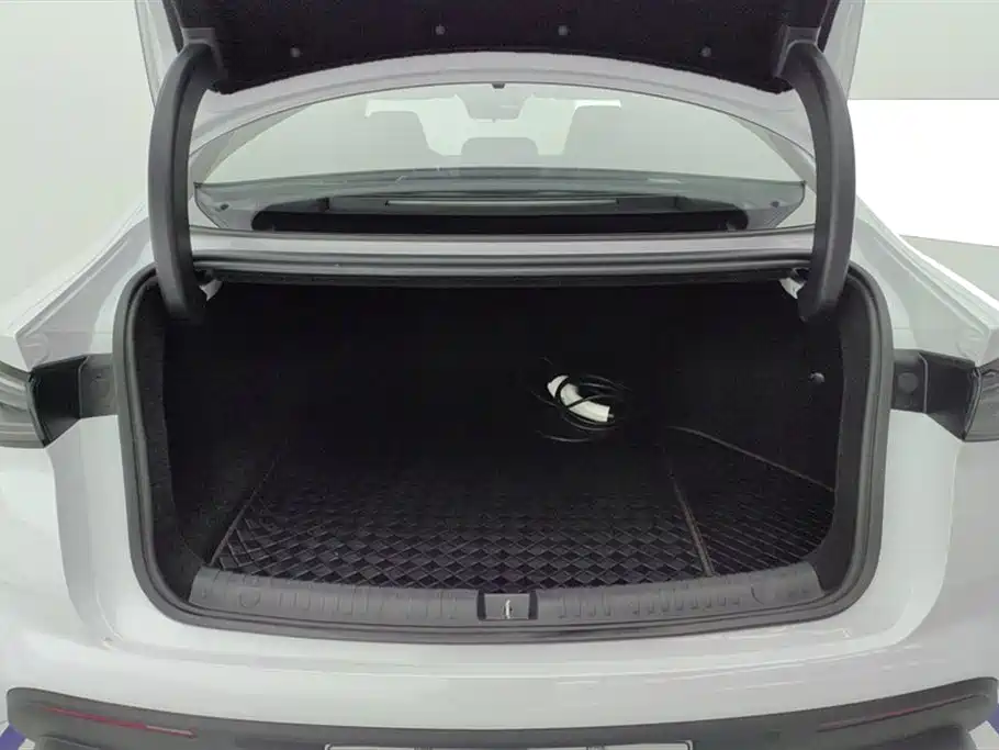 Seal 06 DM-i Smart Drive 80 KM Luxury