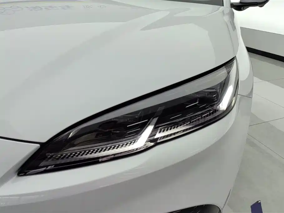 Seal 06 DM-i Smart Drive 80 KM Luxury