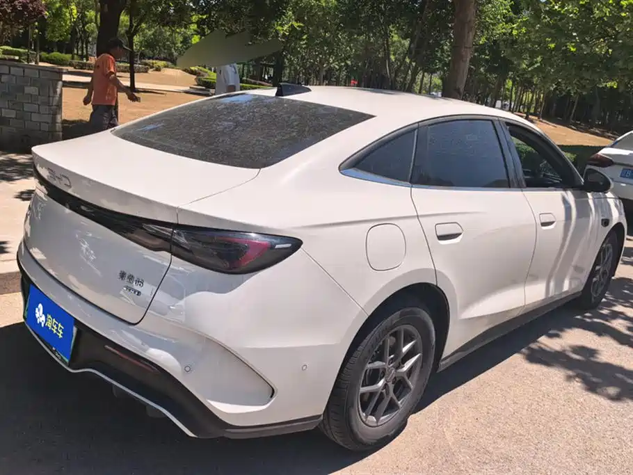 Seal 06 DM-i Smart Drive 80 KM Luxury