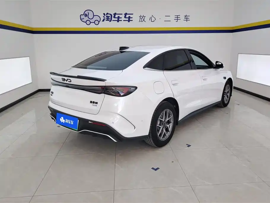 Seal 06 DM-i Smart Drive 80 KM Luxury