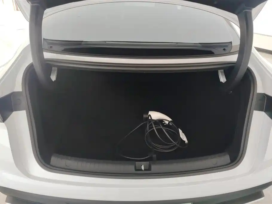 Seal 06 DM-i Smart Drive 80 KM Luxury