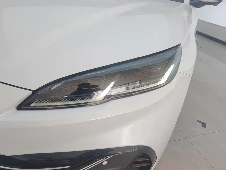 Seal 06 DM-i Smart Drive 80 KM Luxury