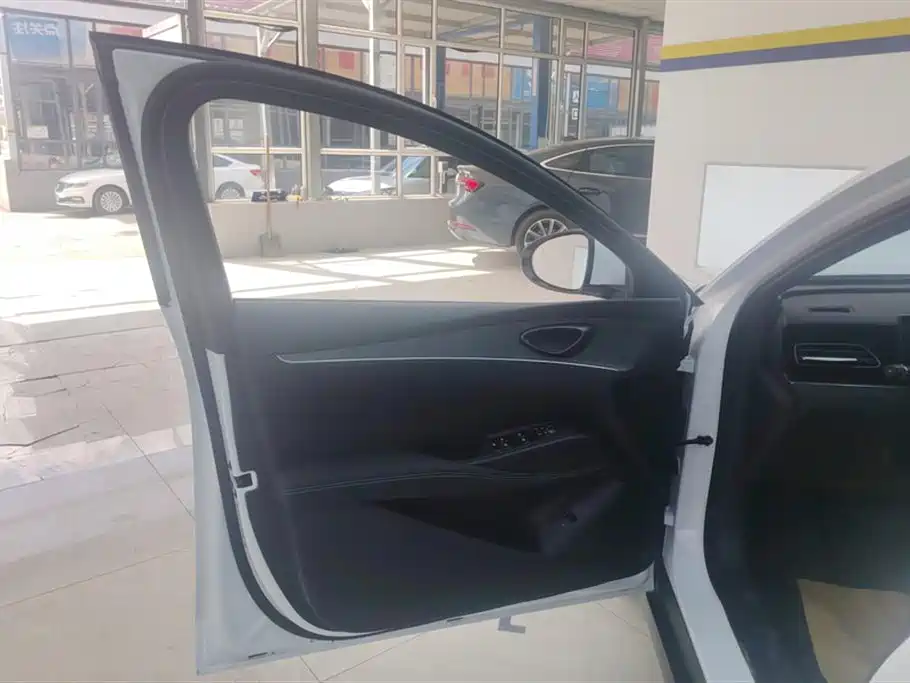 Seal 06 DM-i Smart Drive 80 KM Luxury