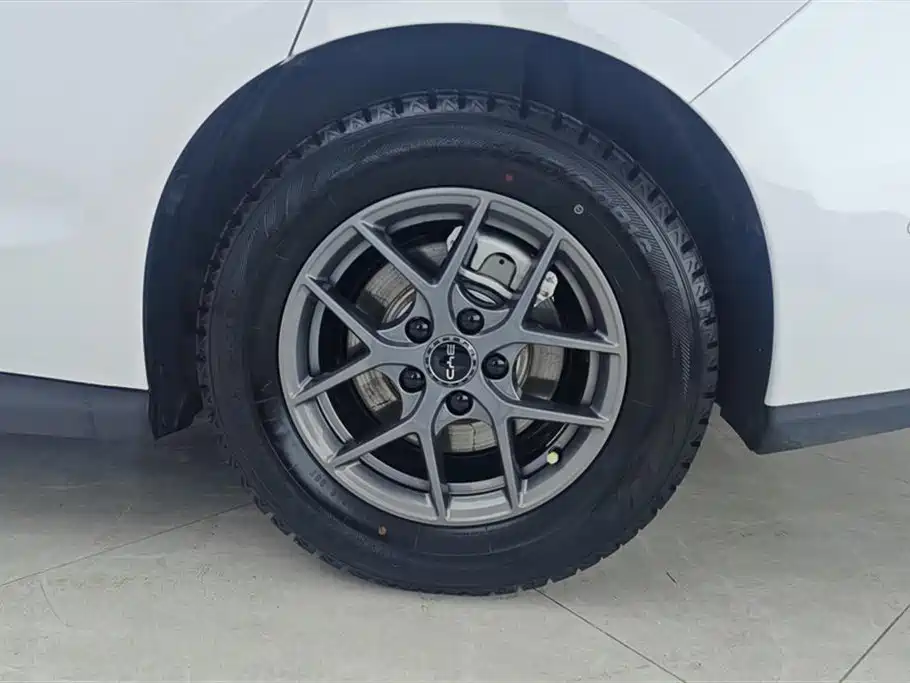 Seal 06 DM-i Smart Drive 80 KM Luxury