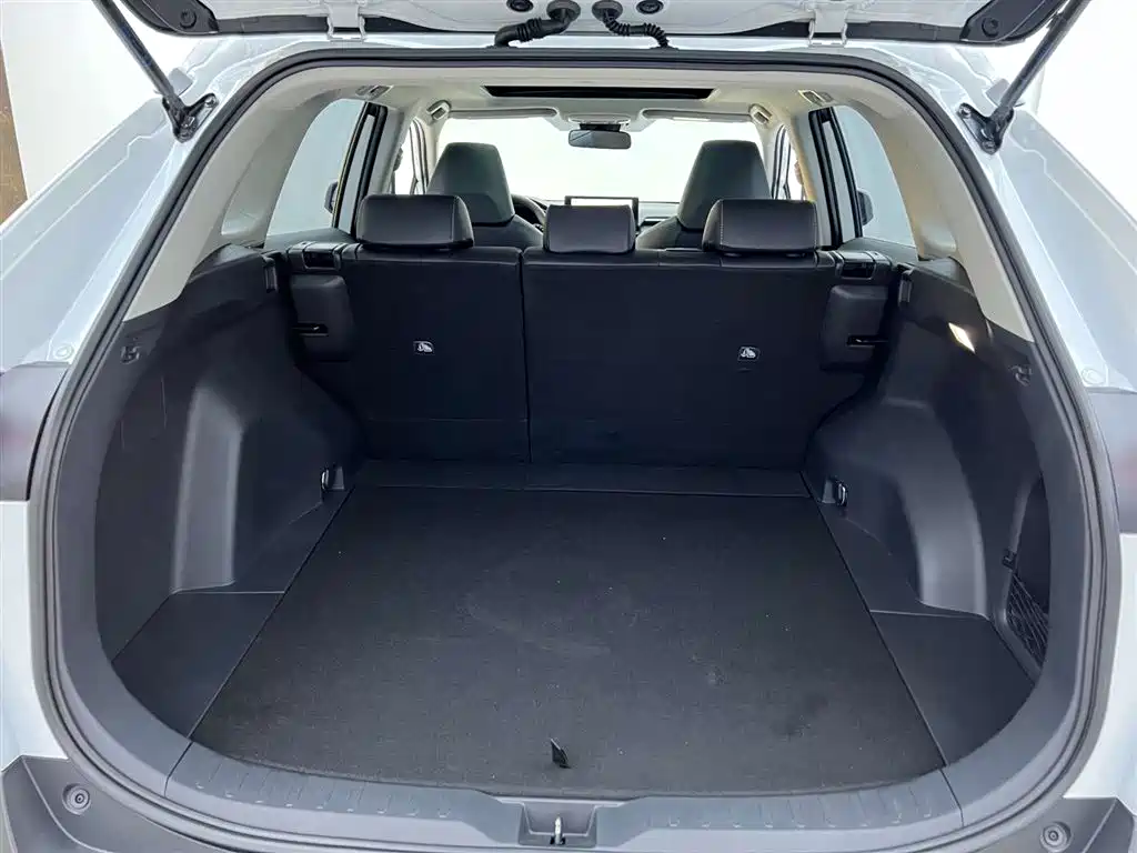 RAV4 2.0 L CVT 2 WD Style Plus