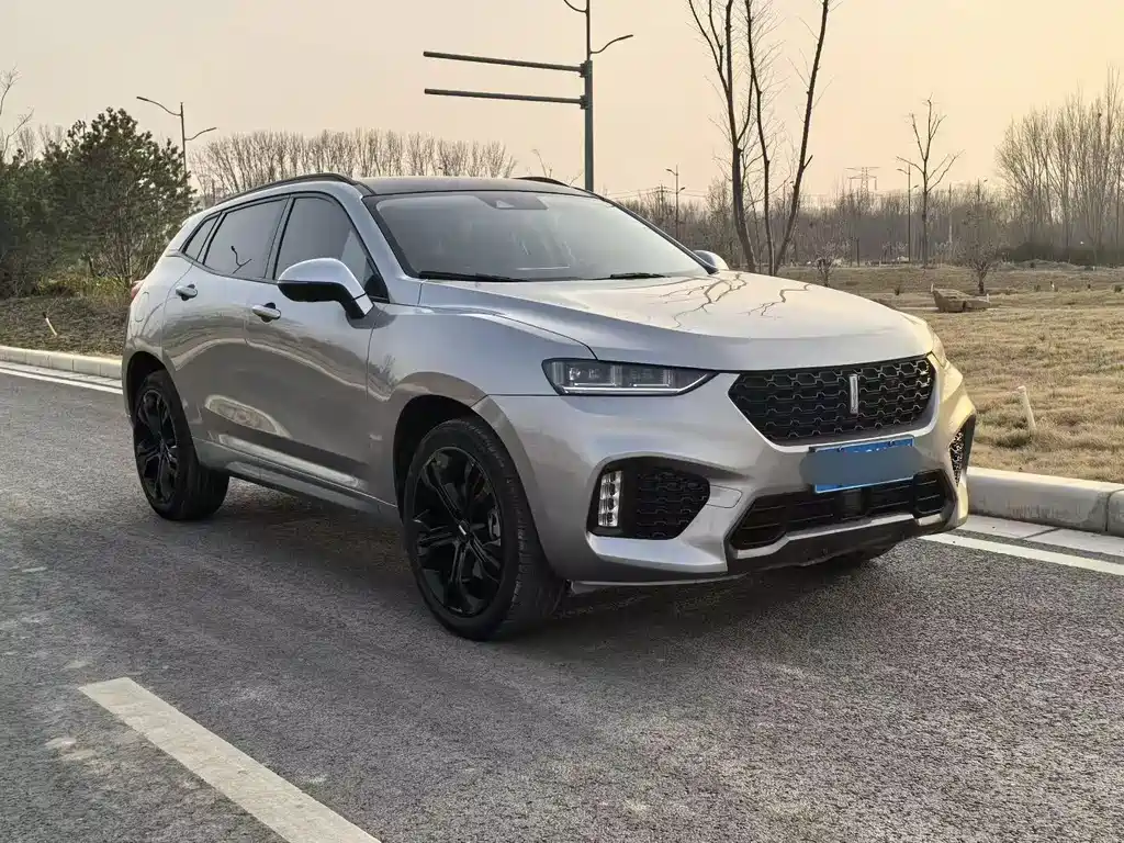 WEY VV7 2.0 T Flagship