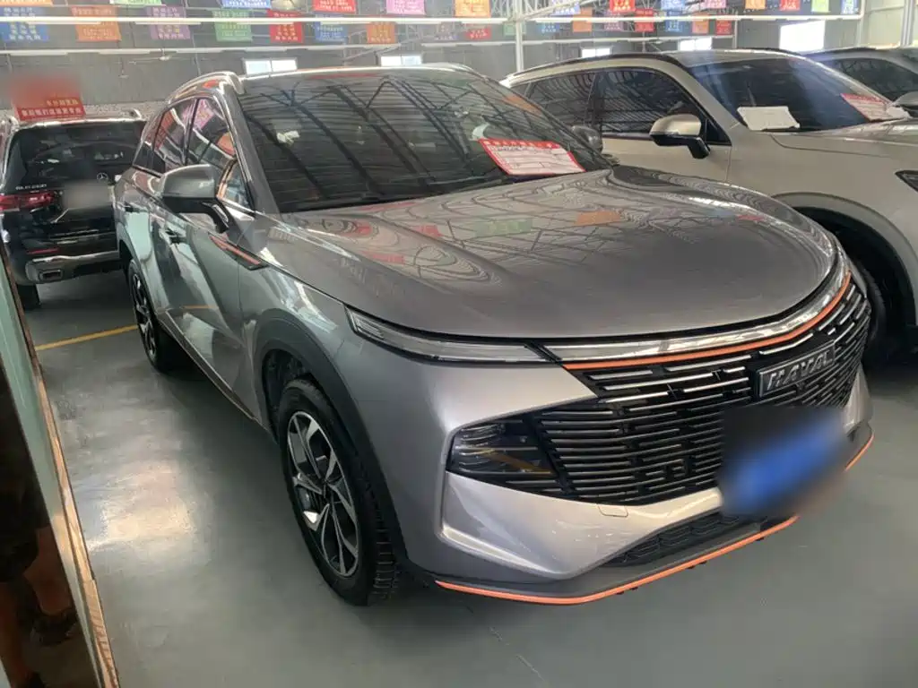 Haval Shenshou 2.0 T Smart Enjoyment