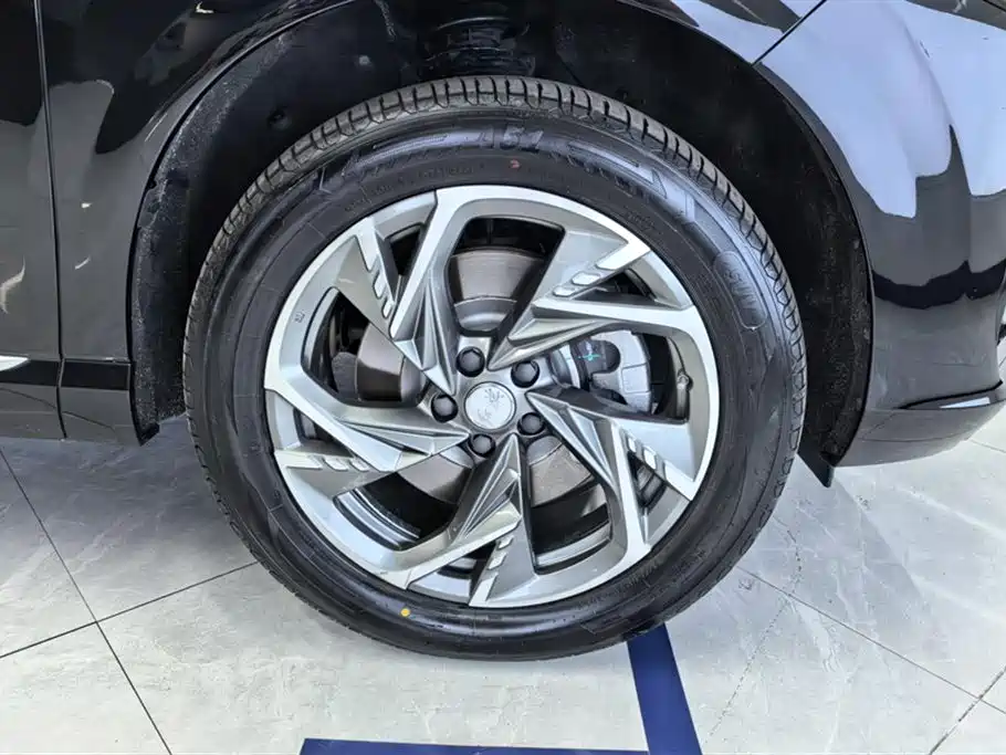 Hongqi HS3 PHEV 115 km Power Action