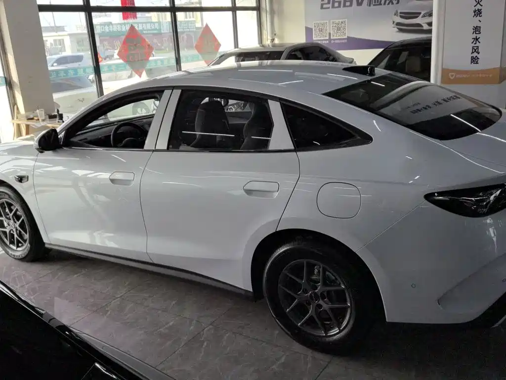 Seal 06 DM-i Smart Drive 80 KM Luxury
