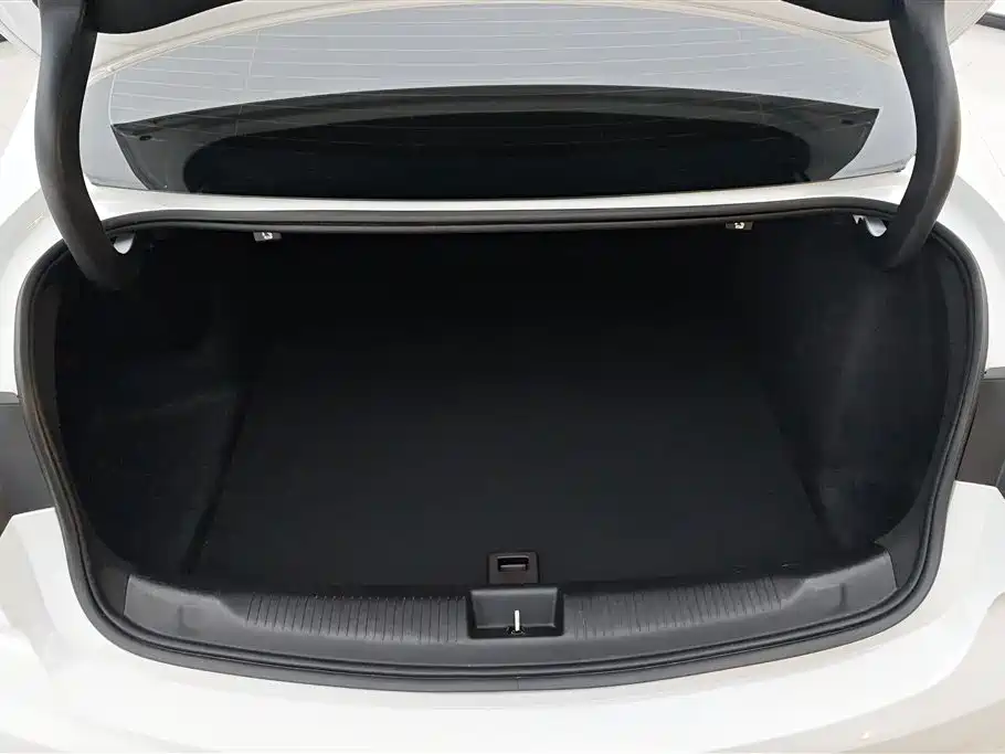 Regal 552 T Smart Enjoyment