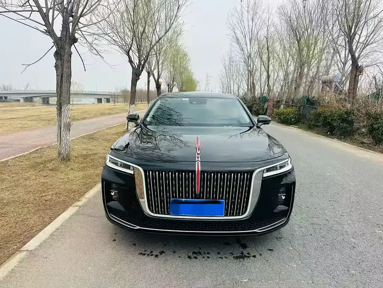 Hongqi H9 2.0 T Connected Flagship Enjoyment