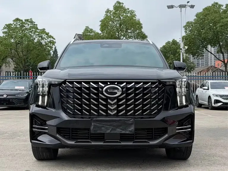 GAC Trumpchi GS8 Navigator Series 2.0 TGDI 2 WD Distinguished (6-seat)