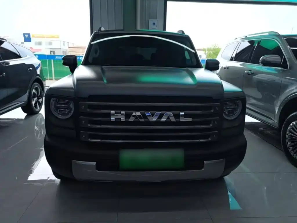 Haval Menglong NEV Hi4 145 Cross