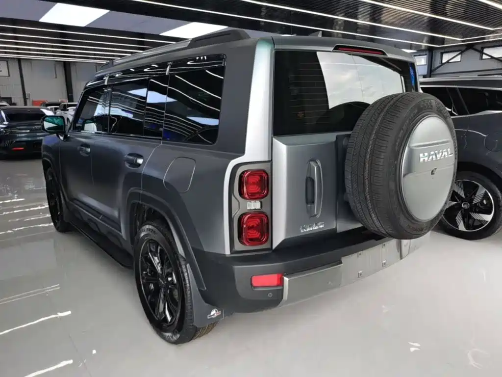 Haval Menglong NEV Hi4 145 Cross