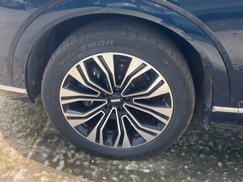 WEY Blue Mountain 4 WD Ultra Long Range