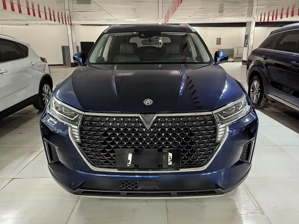 Venucia Star 260 T Auto 48 V Mild Hybrid Turbo Star Enjoyment