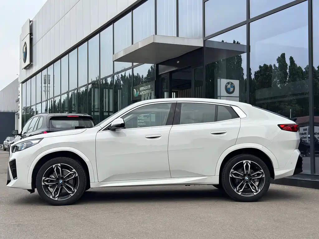 BMW X2 (Import) sDrive25 i M Sport Package