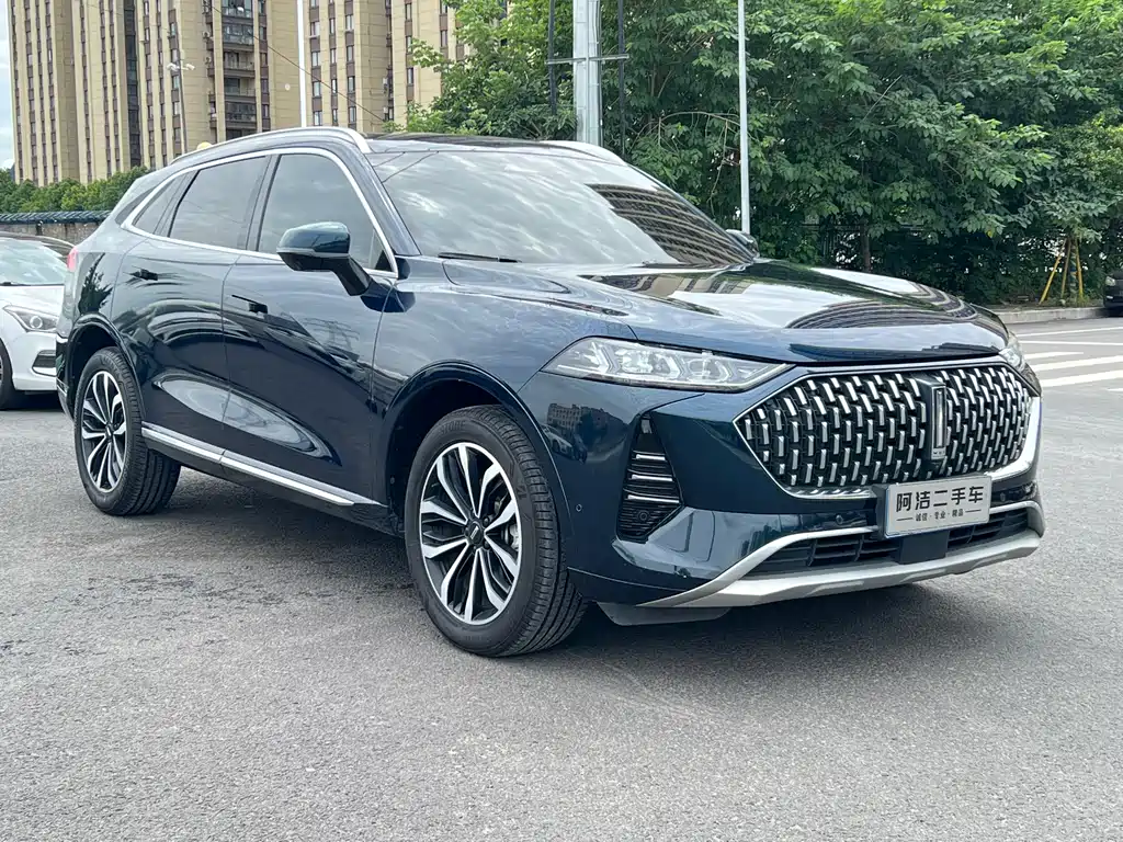WEY Mocha 2.0 T 2 WD Pure
