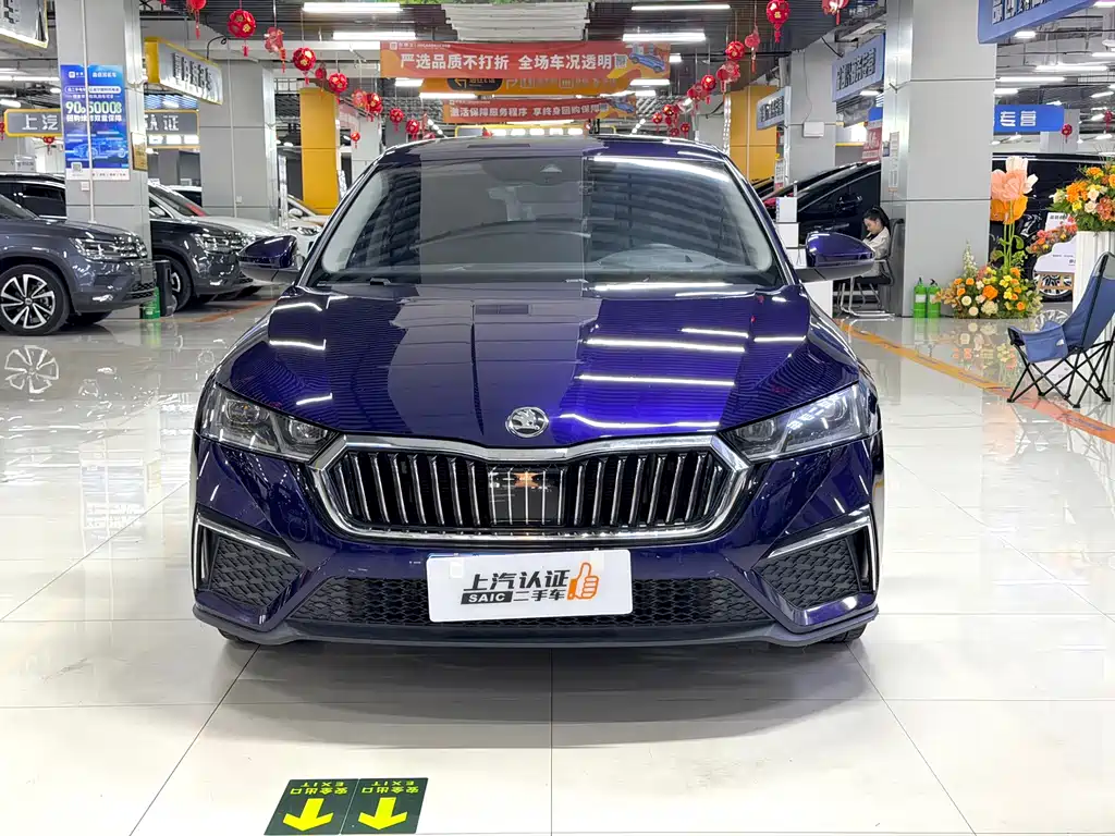 Octavia PRO TSI280 Luxury Enjoyment