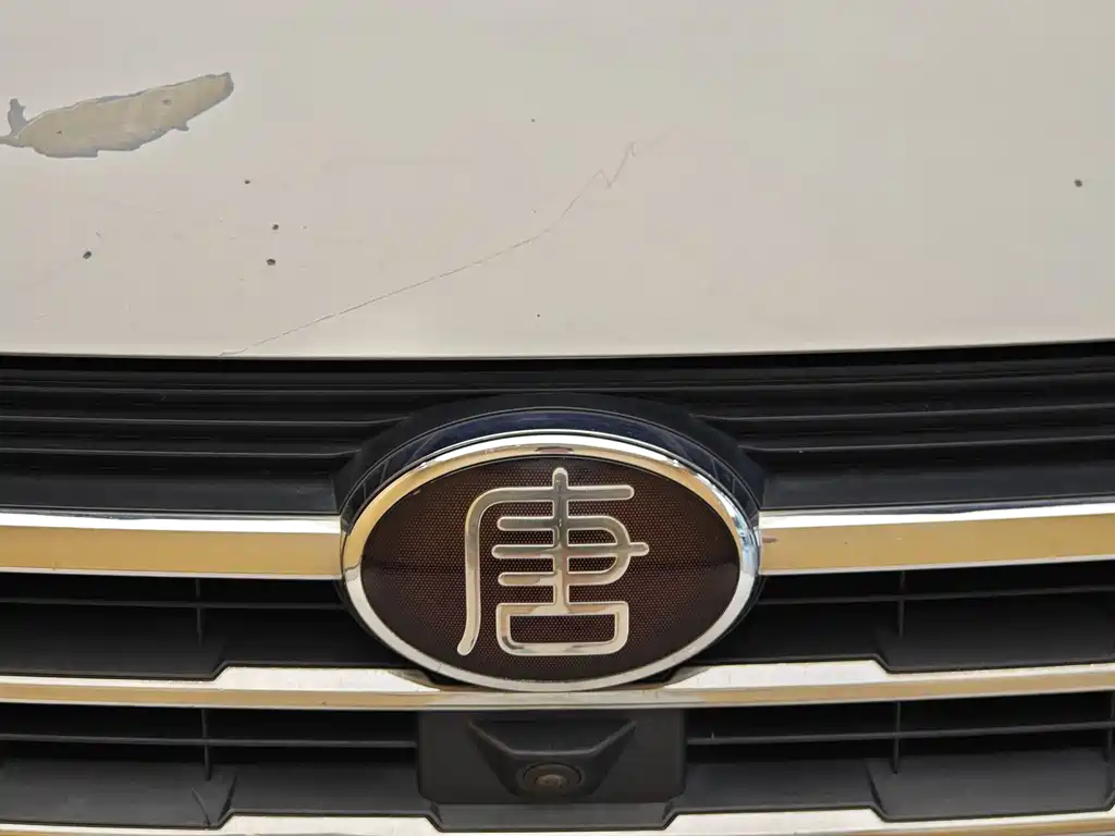Tang 2.0 T Auto Connected Distinguished 7-seat CN-V