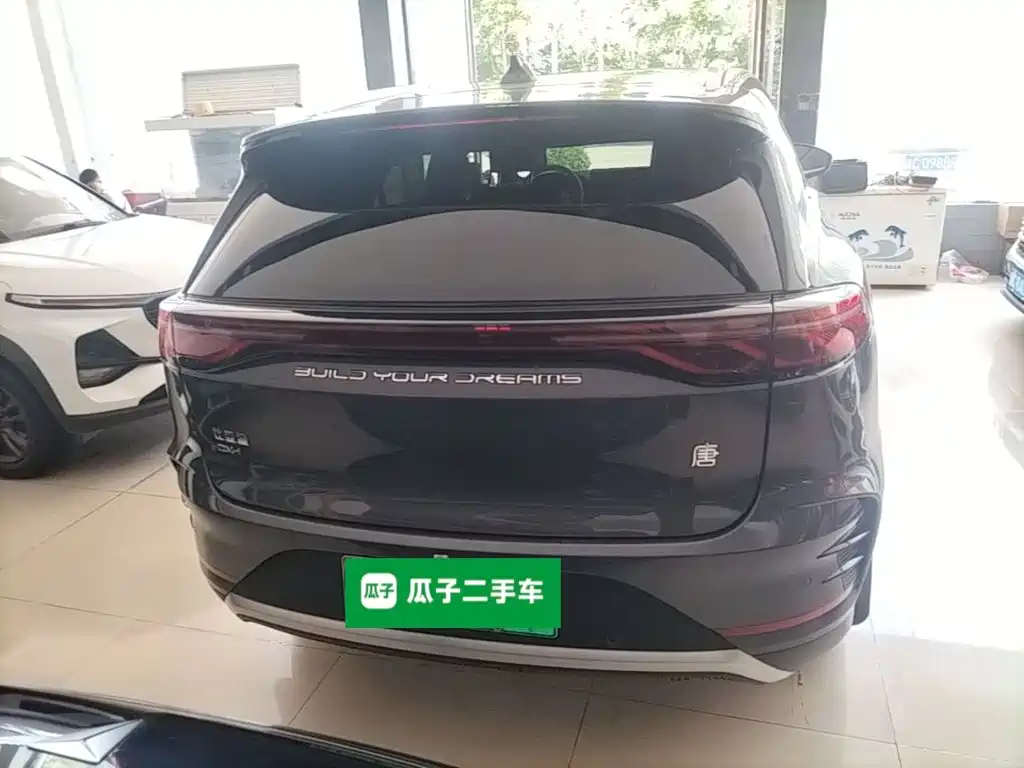 Tang NEV DM-i Glory 200 KM Flagship