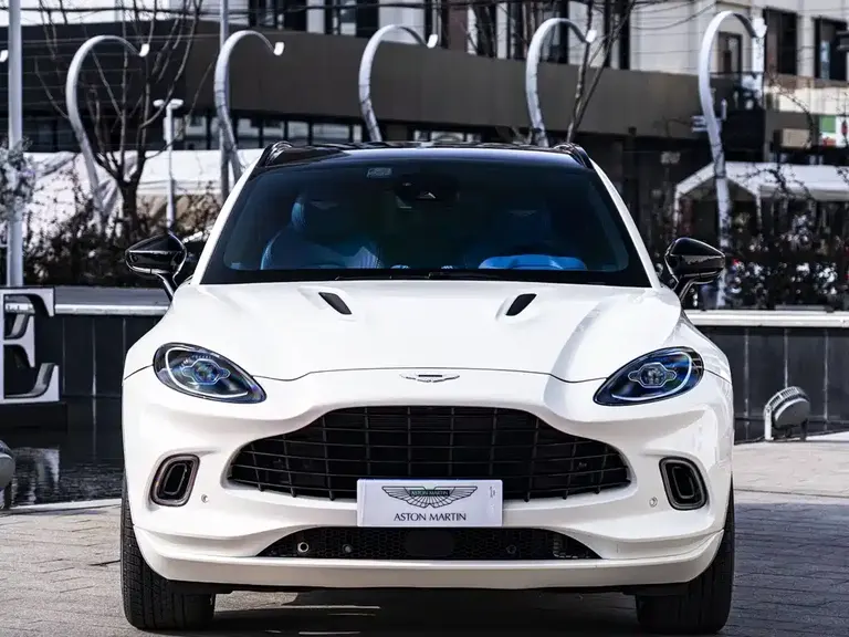 Aston Martin DBX 4.0 T V8 Return to Nature Realm