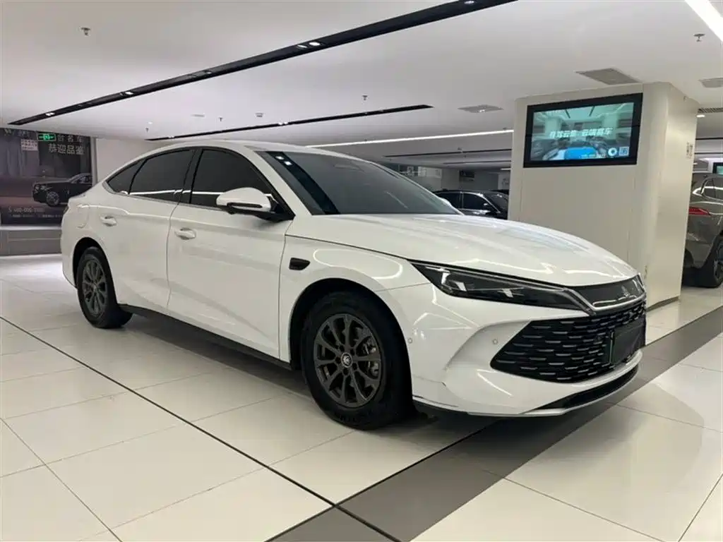 Qin L DM-i Smart Drive 80 KM Leading