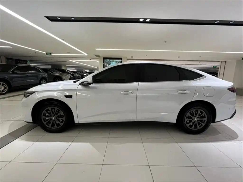Qin L DM-i Smart Drive 80 KM Leading