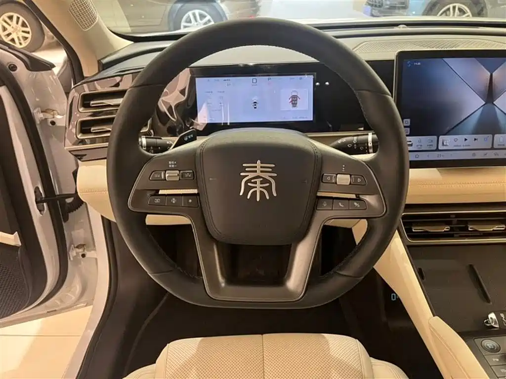 Qin L DM-i Smart Drive 80 KM Leading