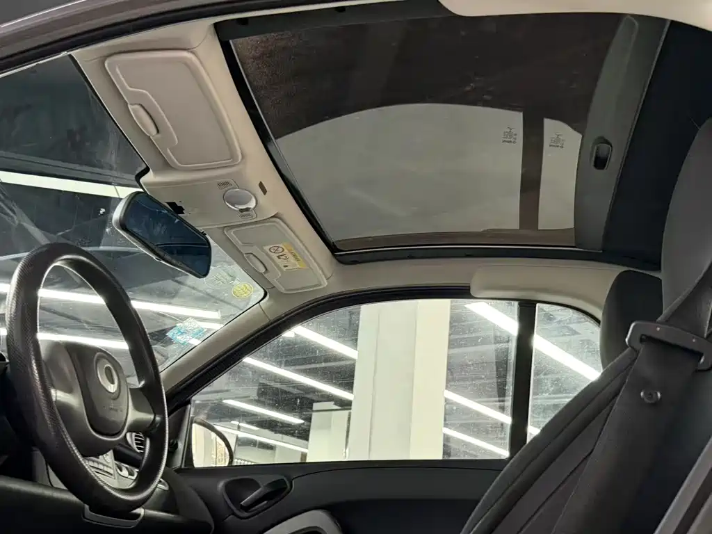 smart fortwo smart fortwo 2014款 1.0 MHD 硬顶城市光波激情版