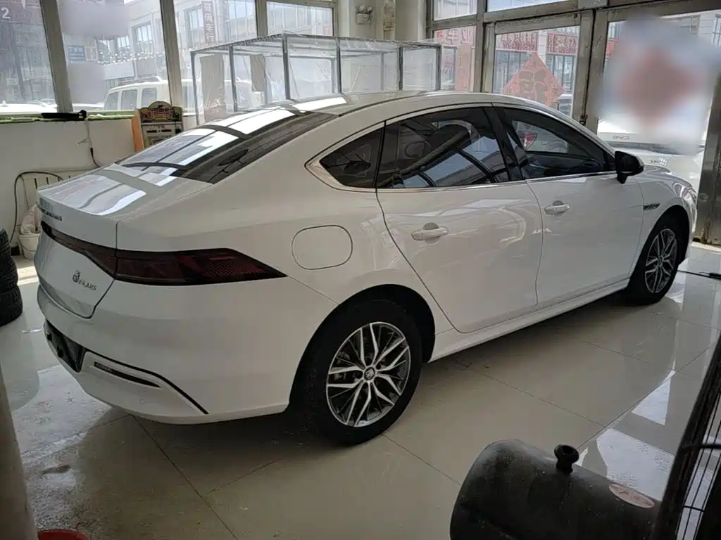 Qin PLUS DM-i 120 KM Distinguished