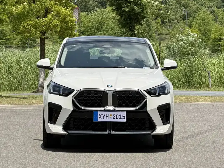BMW X2 (Import) sDrive25 i M Sport Package