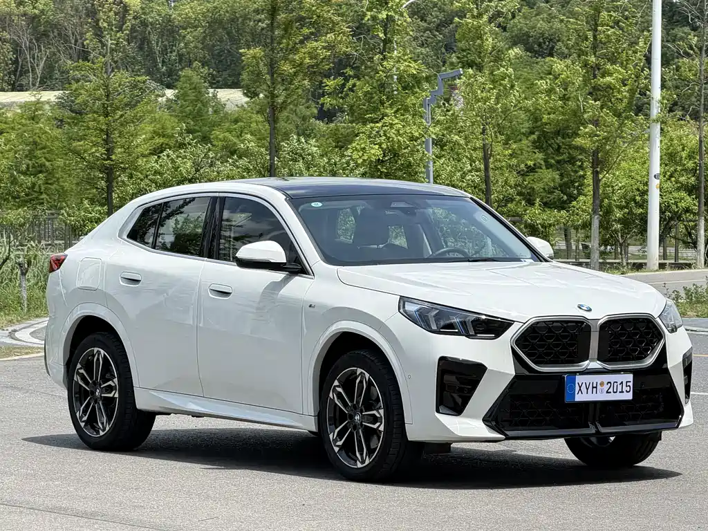 BMW X2 (Import) sDrive25 i M Sport Package