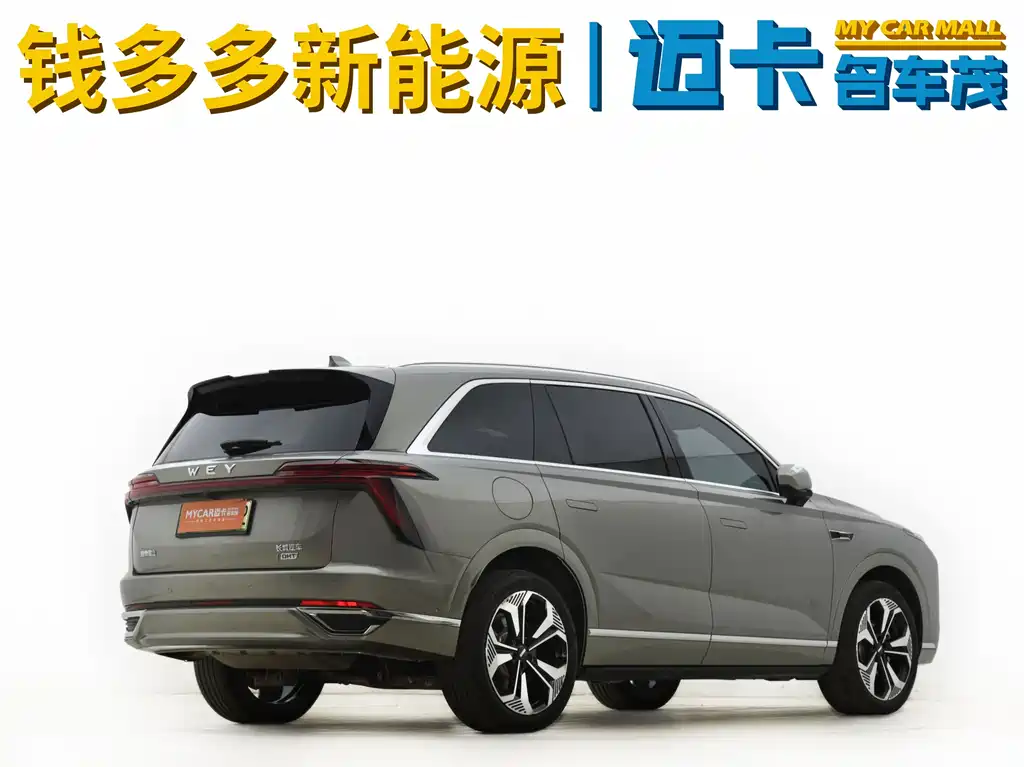 WEY Blue Mountain 4 WD Ultra Long Range