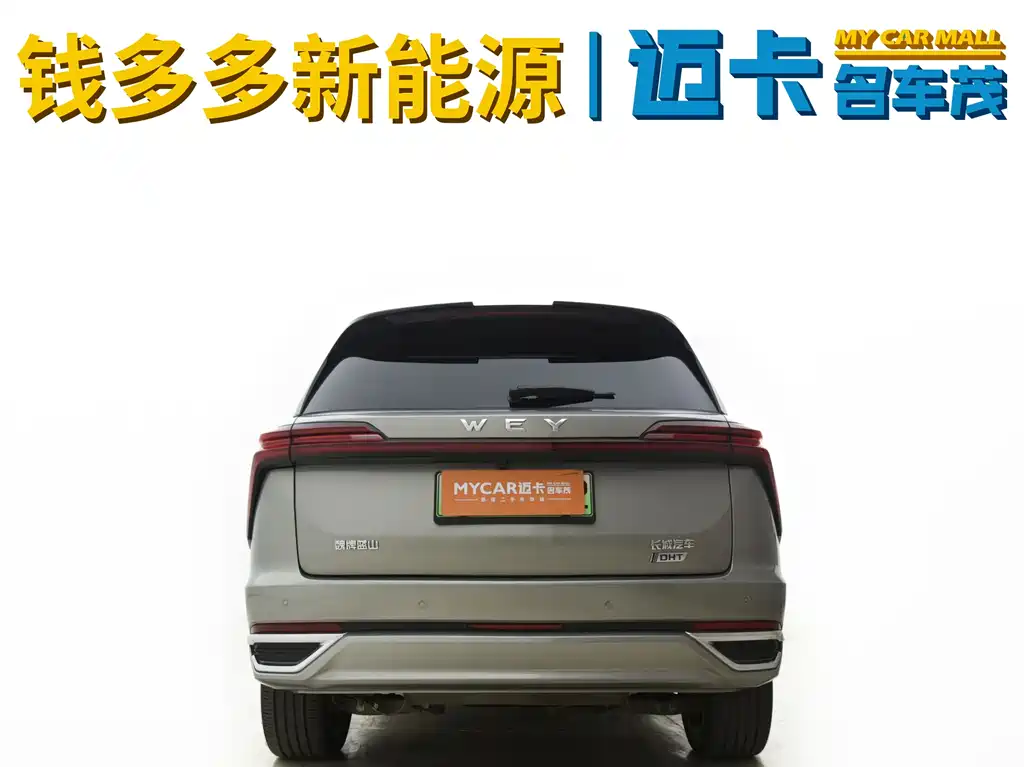 WEY Blue Mountain 4 WD Ultra Long Range
