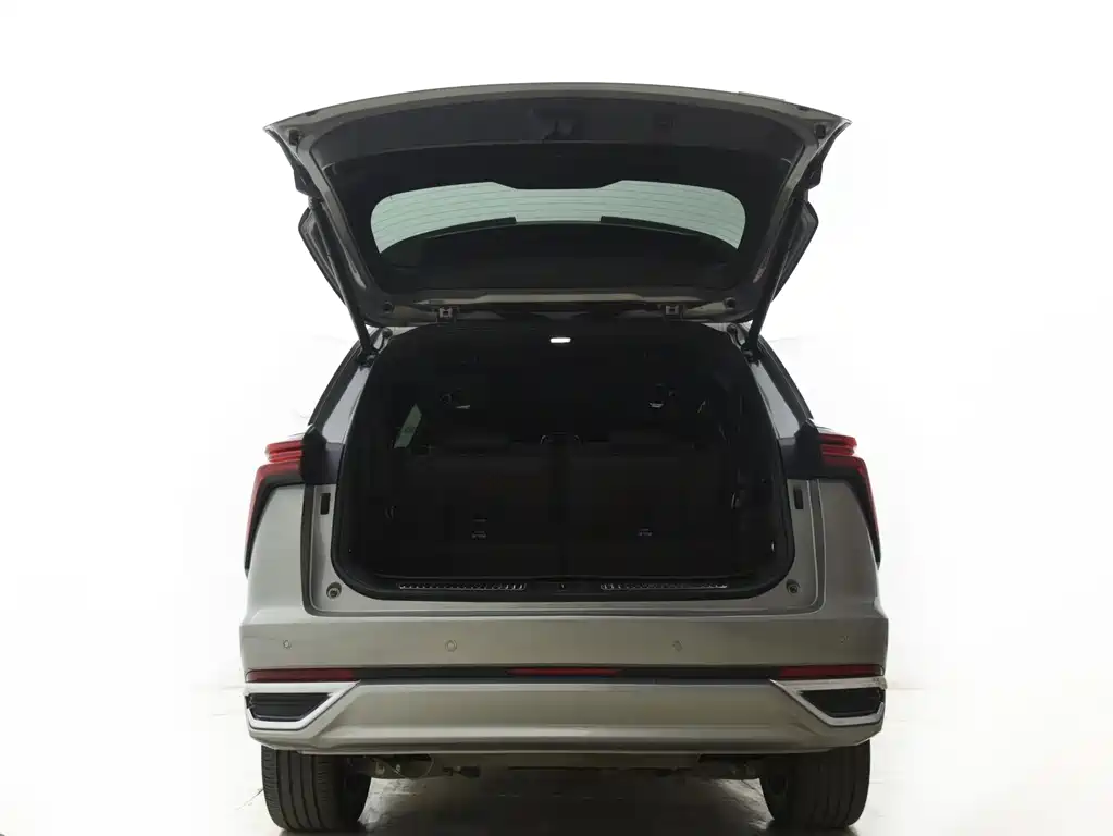 WEY Blue Mountain 4 WD Ultra Long Range
