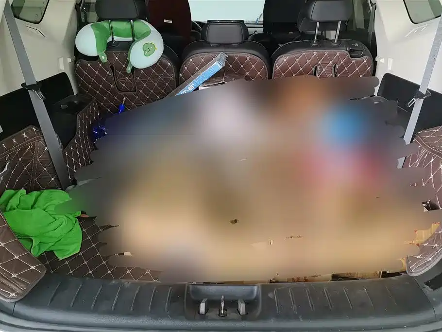 Haoyue 1.8 TD DCT Flagship 7-seat