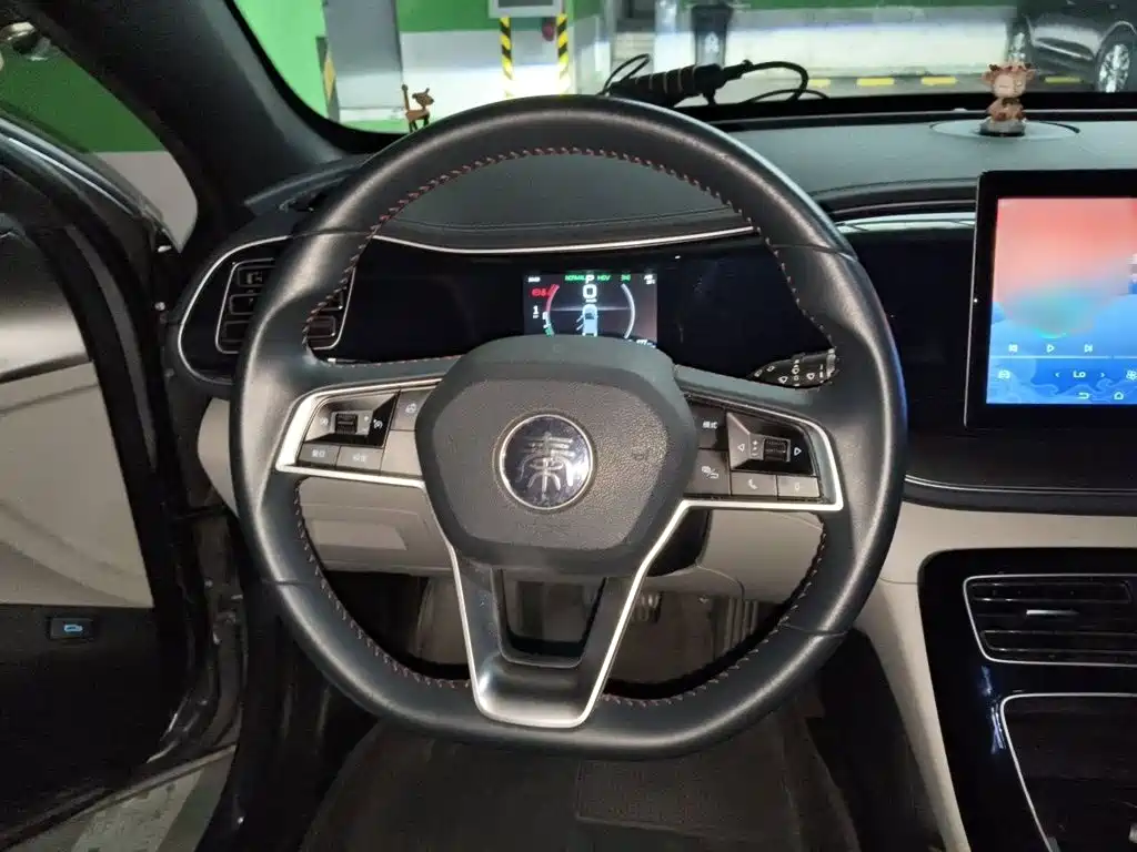Qin PLUS DM-i 55 KM Flagship