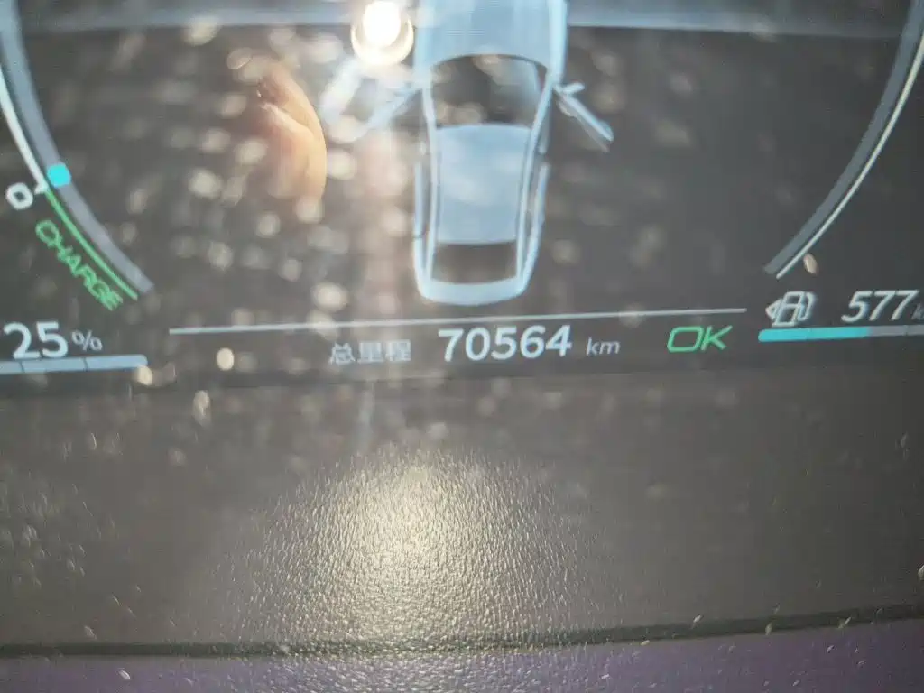 Qin PLUS DM-i 55 KM Flagship