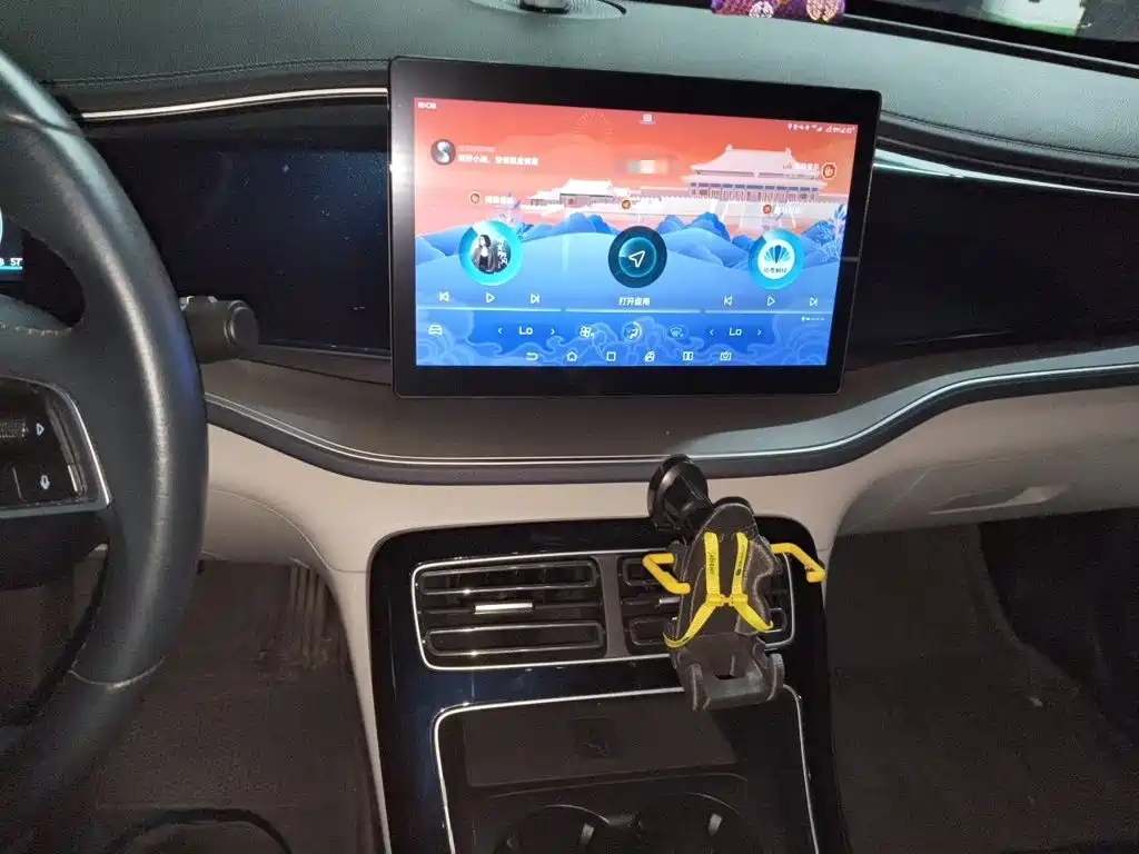 Qin PLUS DM-i 55 KM Flagship