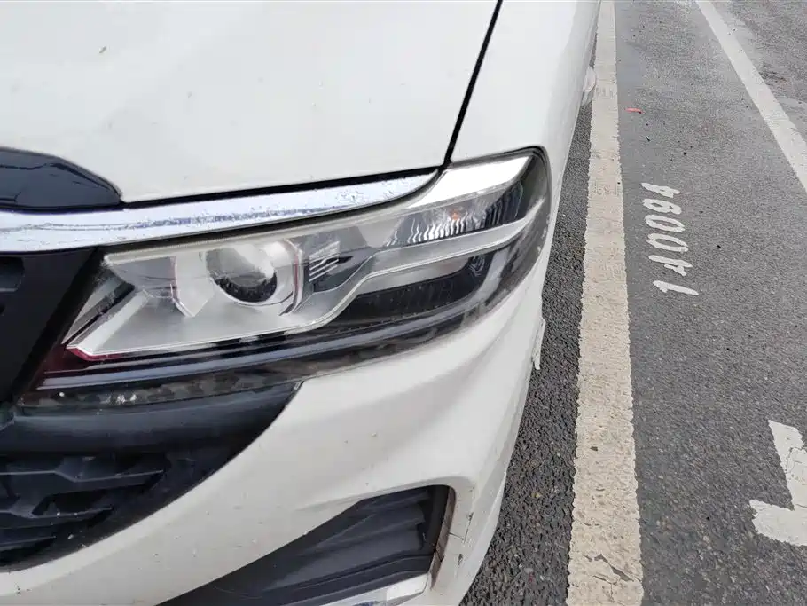 Jinbei Sea Lion King 2.0 L Series Standard 6-seat1 TZS