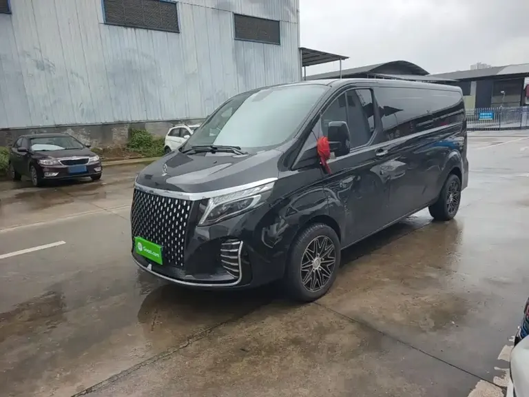 Ford Transit 全顺 2023款 2.0 T汽油自动商旅型中轴低顶7/8/9座